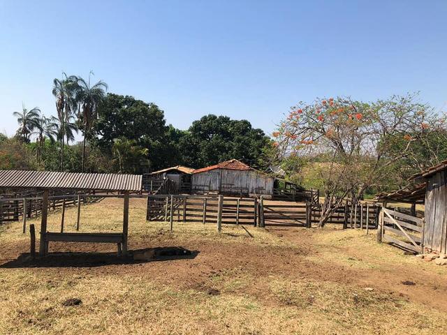 Fazenda a venda em Piracanjuba de 20 alqueires para Pecuária e lavoura - Foto 12