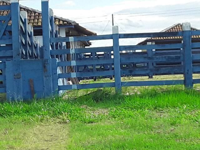 Fazenda 180 alqueires Linhares - Foto 9