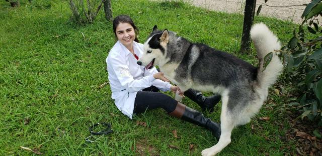 Cuidadora de Animais - Foto 4