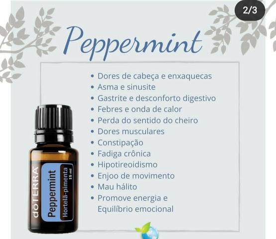 Kit Apresentação 120,00 + frete - Foto 4