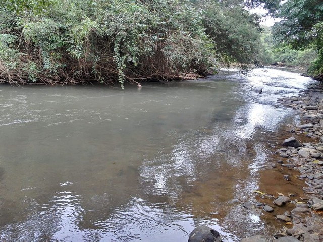 Chacara na beira do rio Padre Souza - Foto 2