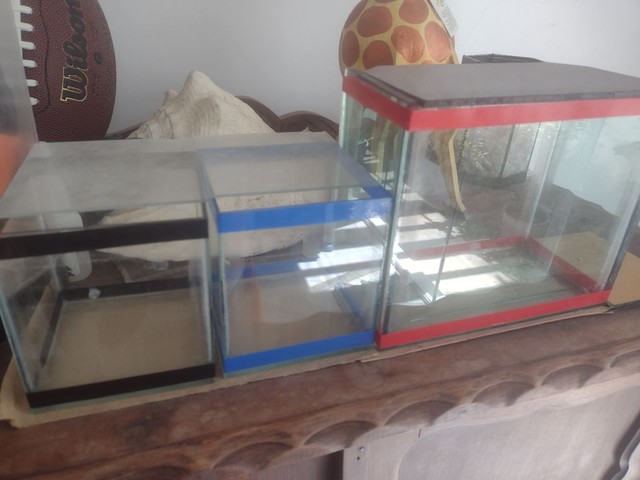 Aquários para Beta 