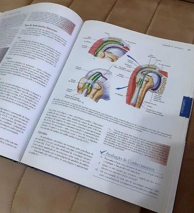 Livro - Anatomia Humana, De Van De Graaff. Editora Manole Ltda, Capa Dura Em Português, 20 - Foto 4