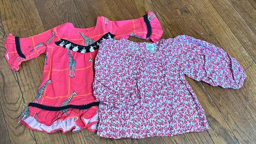Kit 2 camisetas baby GAP tamanho 18-24 meses importada(Desapego)