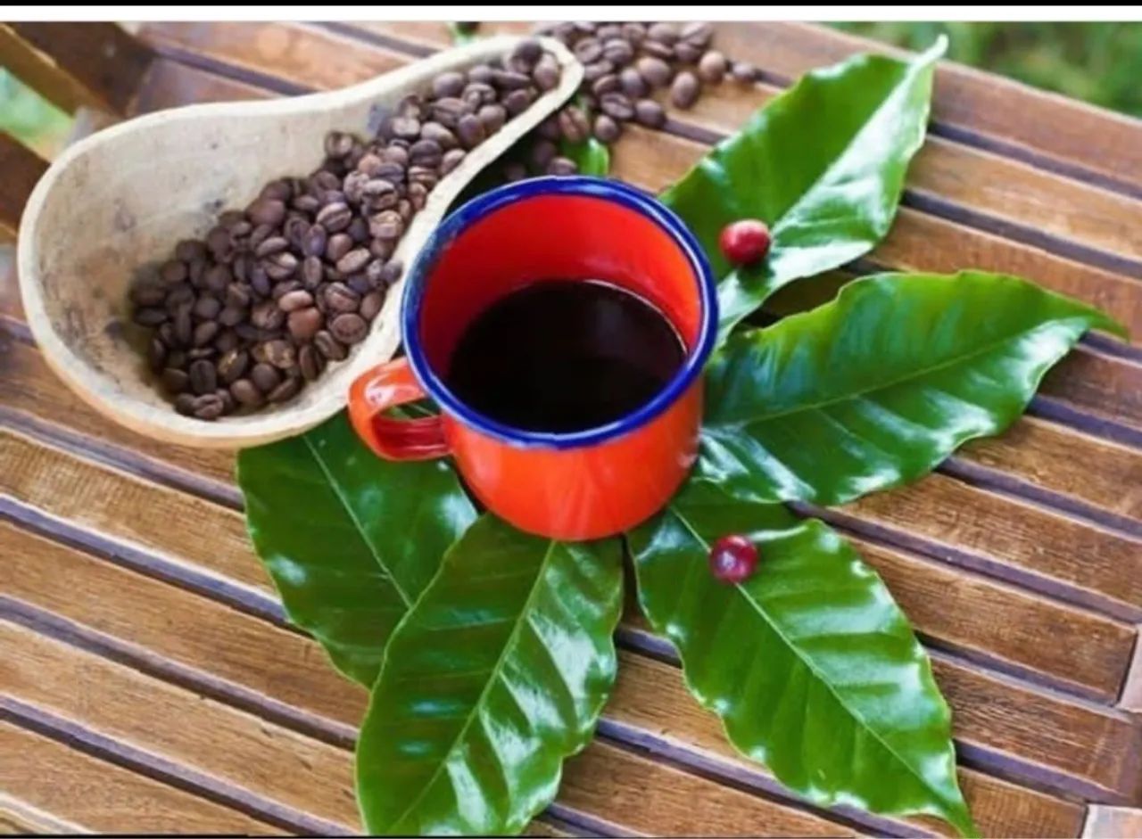  Produção Artesanal  - Foto 3