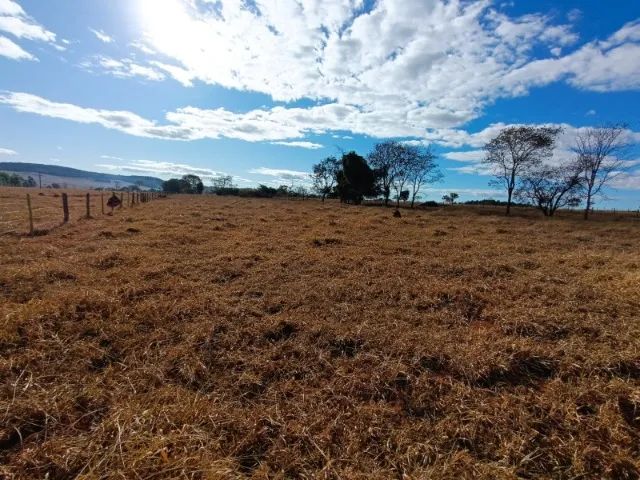 Vendo chácara de 4.300m2 em Bonfinópolis - Foto 4