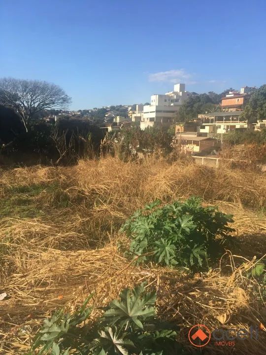 OPORTUNIDADE. LOTE COM MAIS DE 2900 MTRS PALMEIRAS - Foto 13