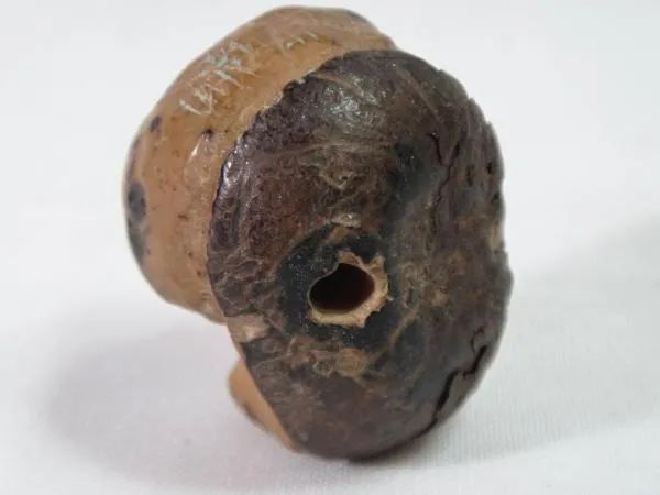 ESCULTURA TIPO NETSUKE (BOTÃO) ESCULPIDA EM UMA SEMENTE - Foto 3