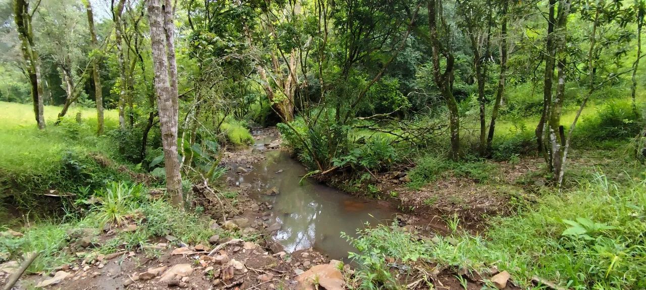Chácara 20 hectares, valor 320,000,00 potreiro grande cercado 