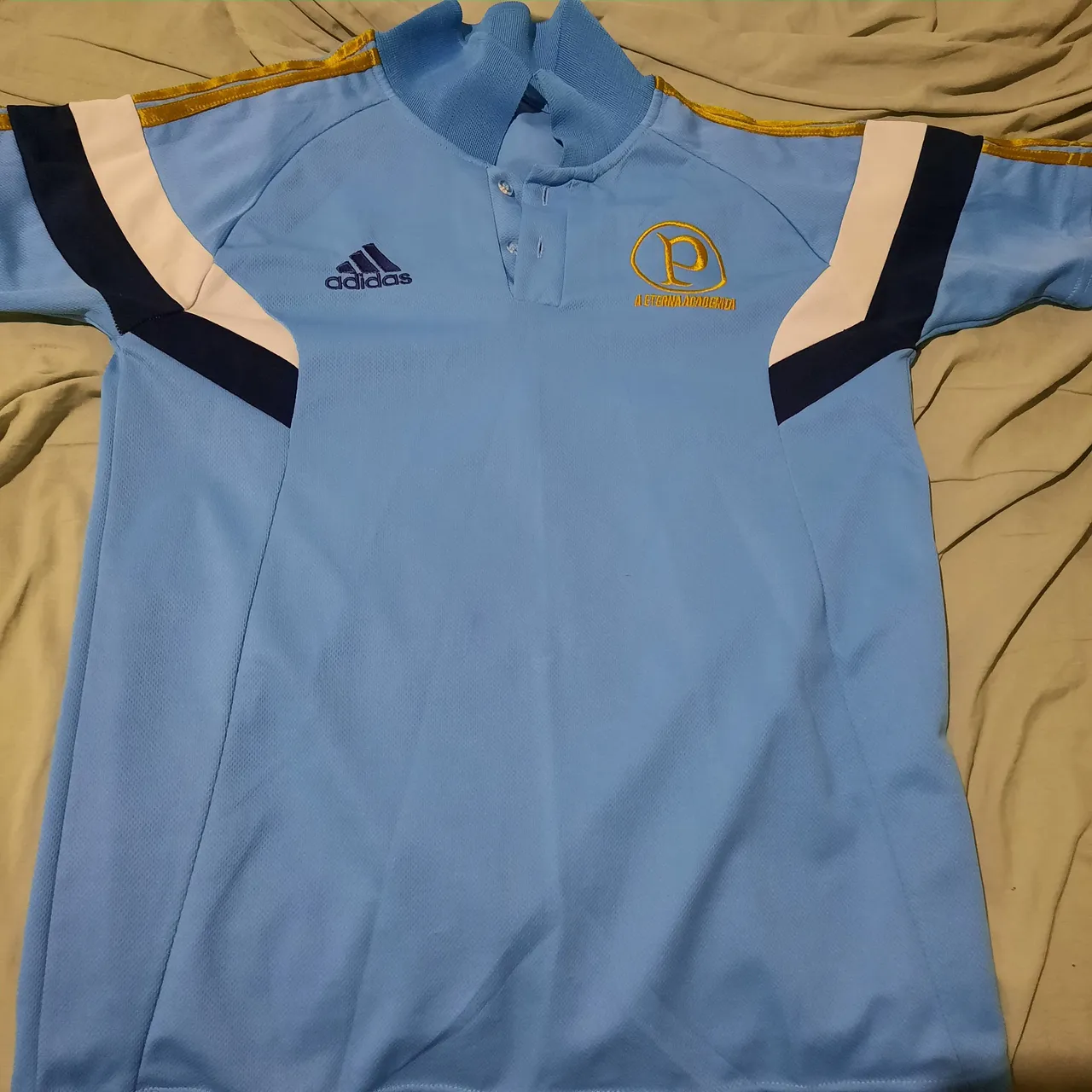 Camisa do palmeiras g