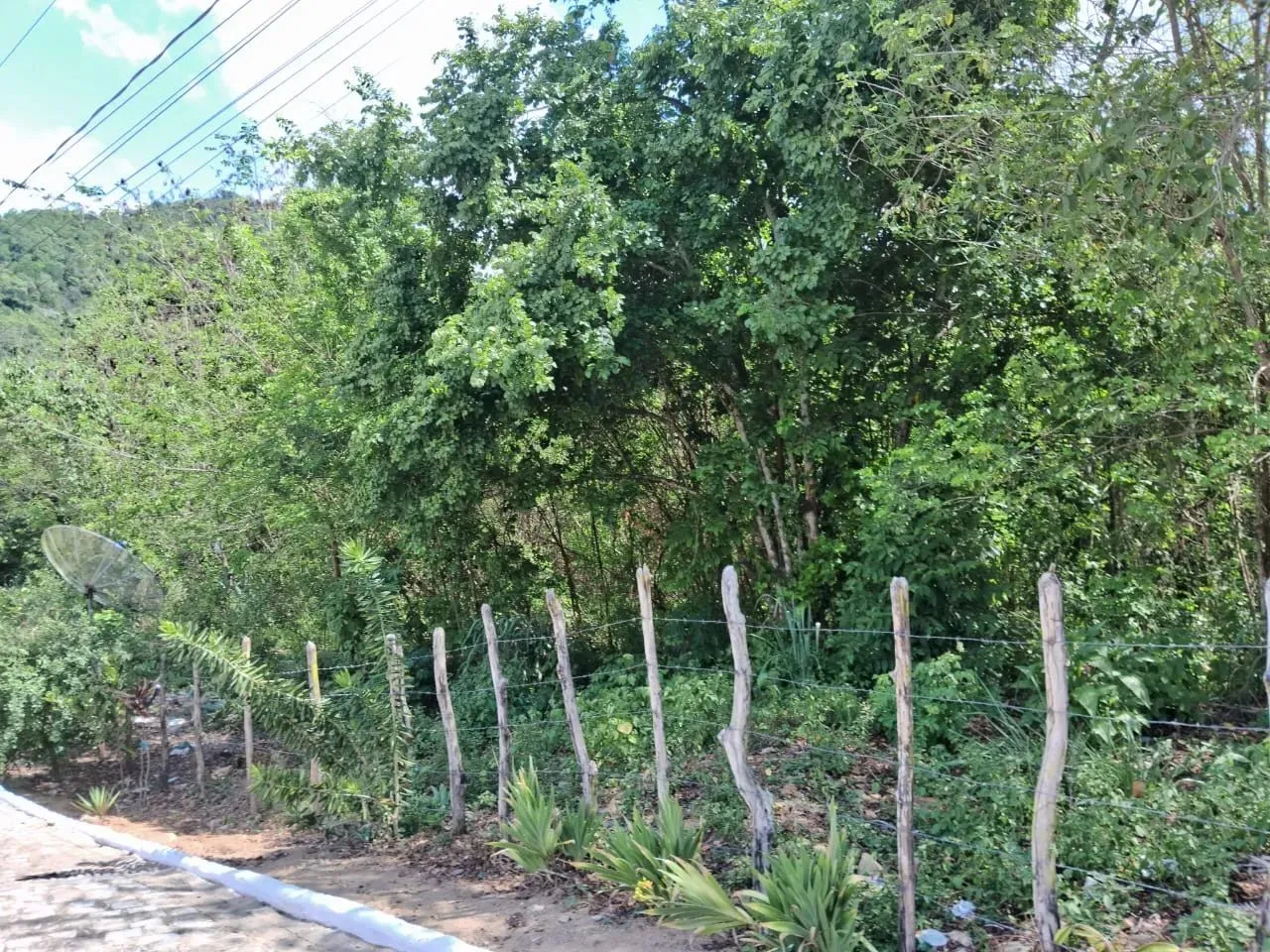 Vendo área em Bananeiras - PB com 3,95 hectares.