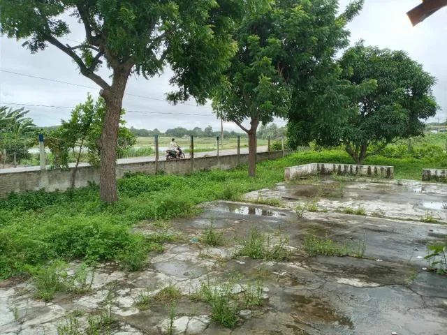Excelente Granja com 11 hectares na região de Monte Alegre estruturada - Foto 5