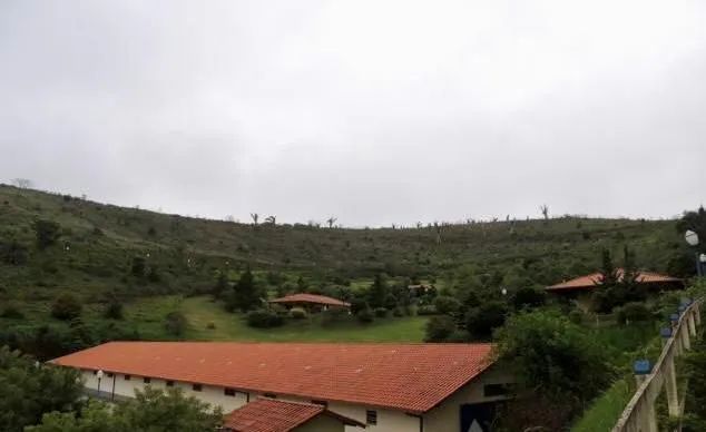 Haras cinematográfico  - Foto 4