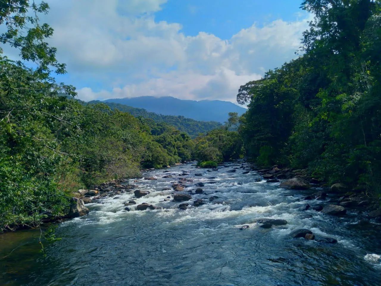Acomodações aconchegantes em meio à natureza - Foto 4