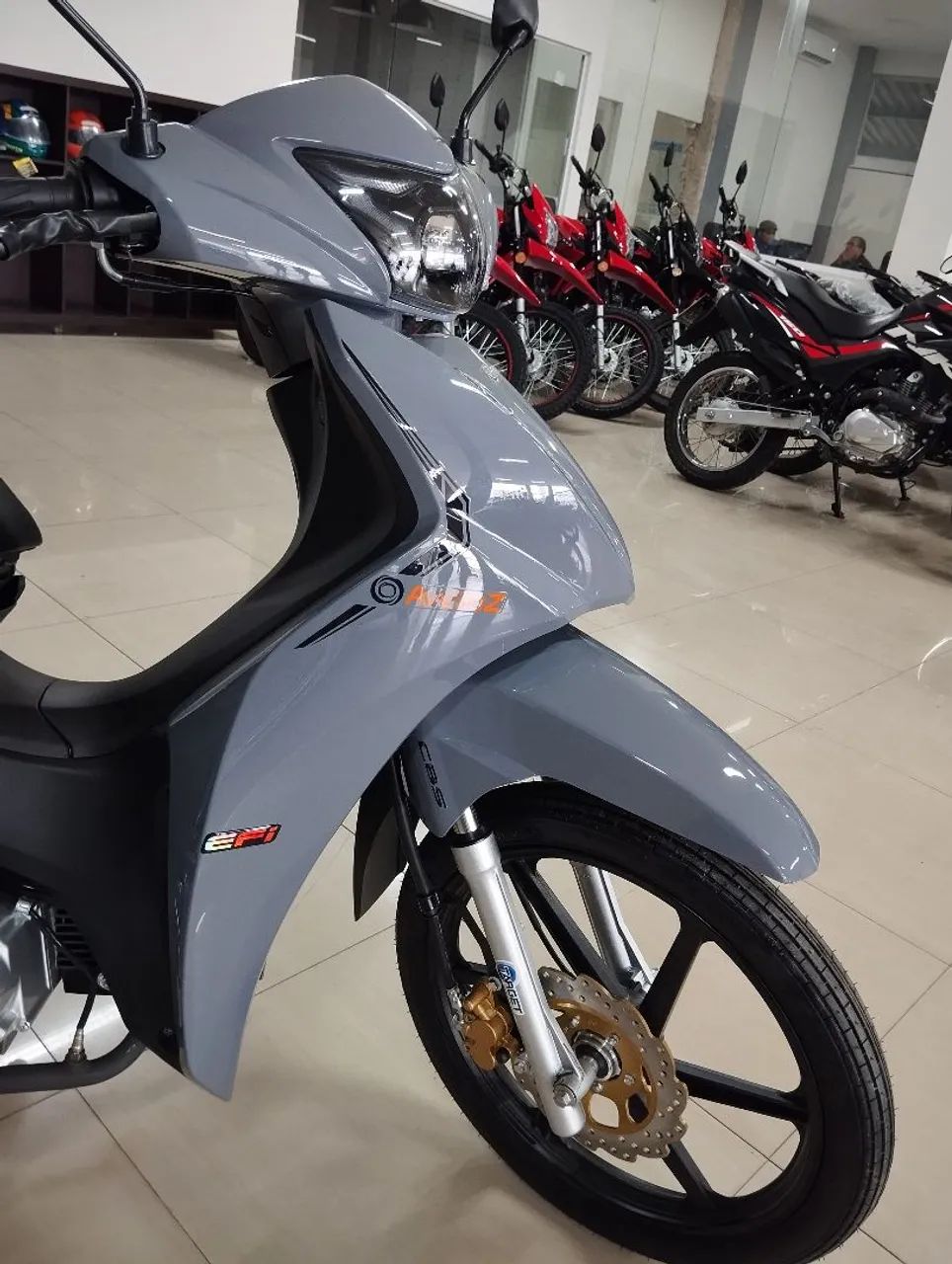 Avelloz cinza disponível  - Foto 3