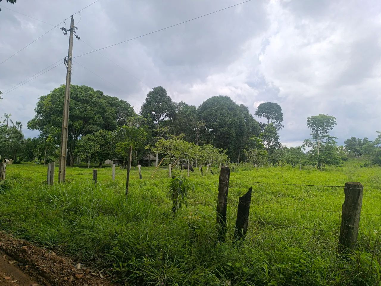Foto - Porto Velho - Tancredo Neves