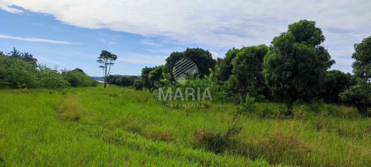 Área de 14 Hectares à venda em Chã Grande/PE! - Foto 2