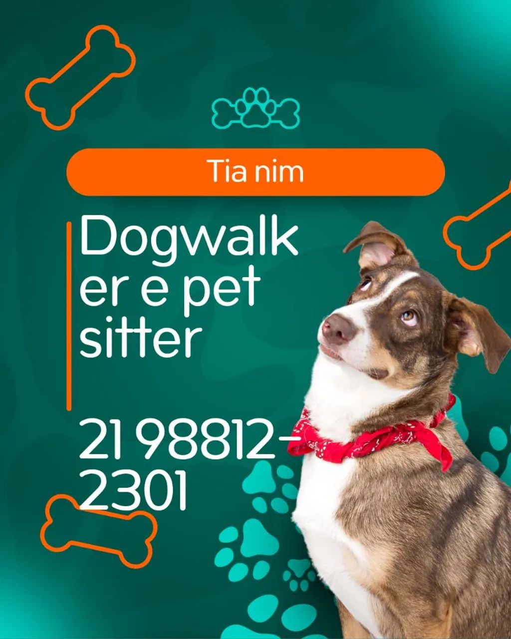 Dogwalker e Pet sitter
