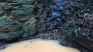 Sítio á venda, 18,39Ha, com nascente e Rio - Pilar do Sul - SP - Foto 4