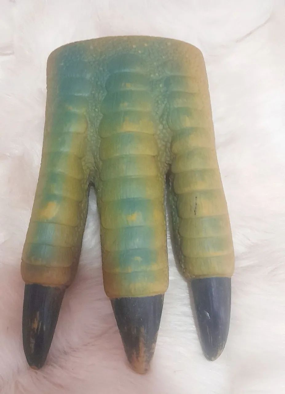 Garra de dinossauro  - Foto 2