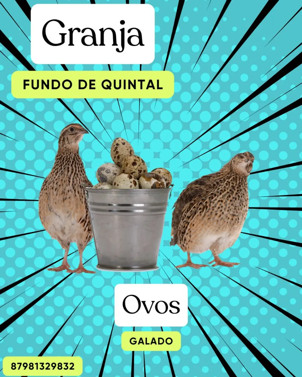 Ovos Galados Codorna Gigante
