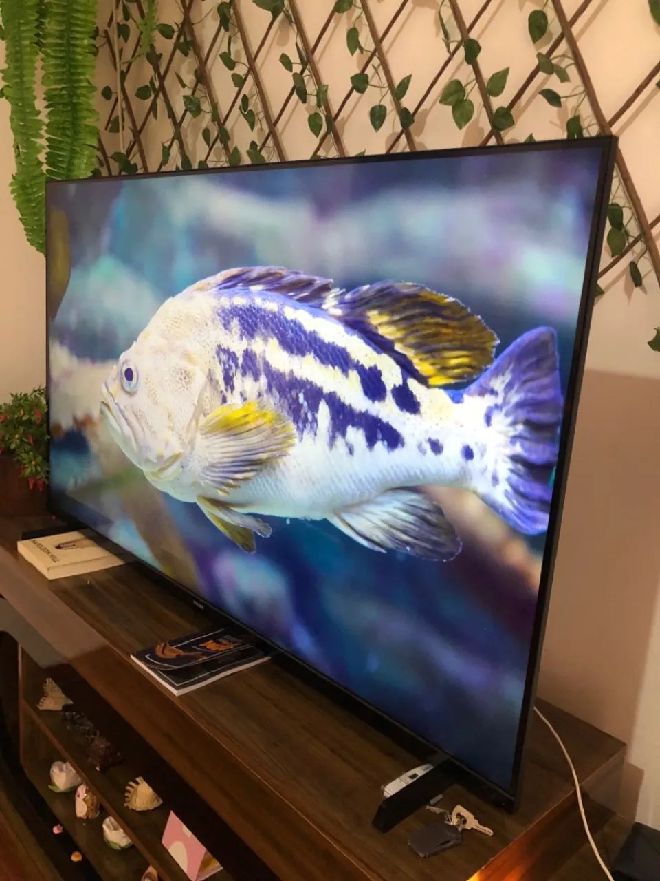TV PHILIPS 50 POLEGADAS ULTRA HD 4K NOVA