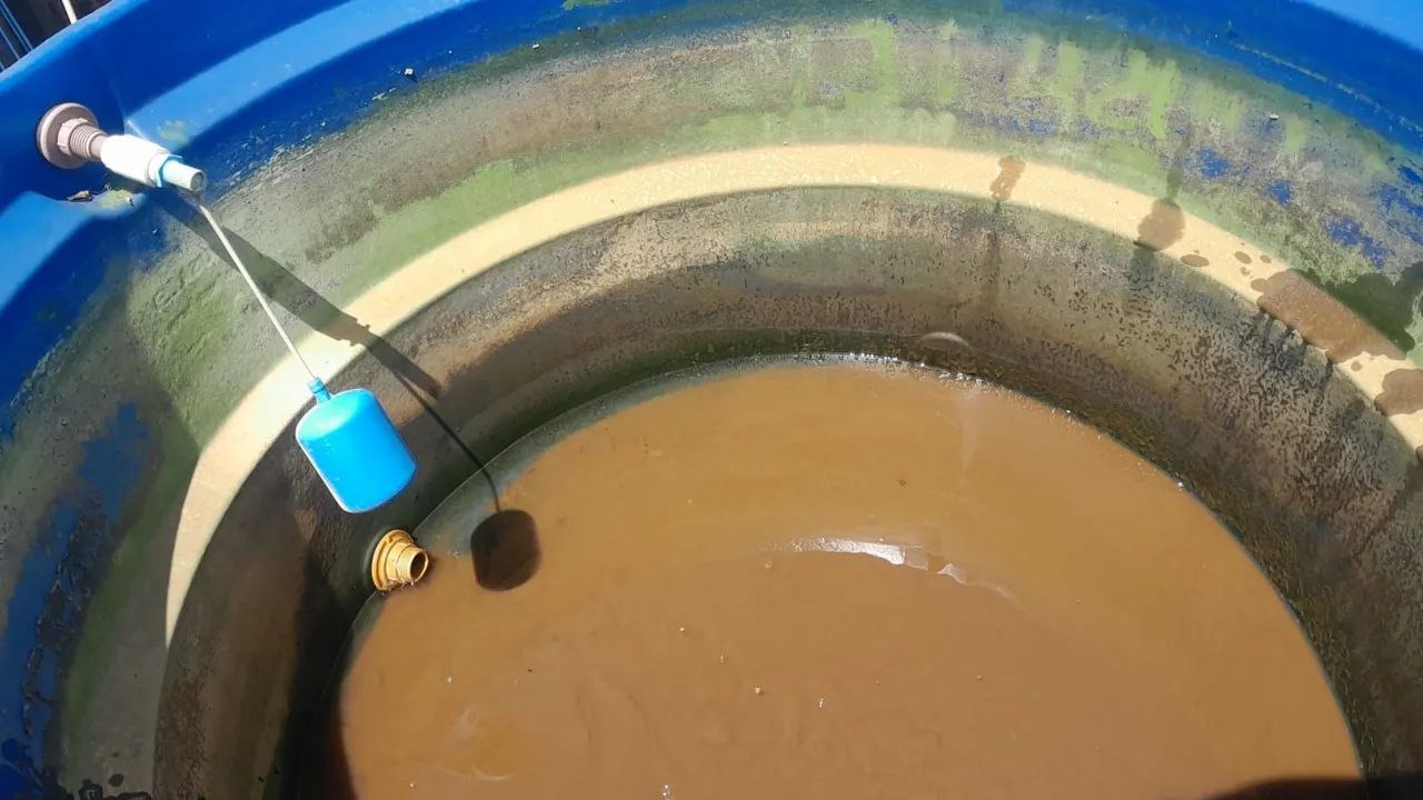 Limpeza de caixa dagua.  - Foto 3