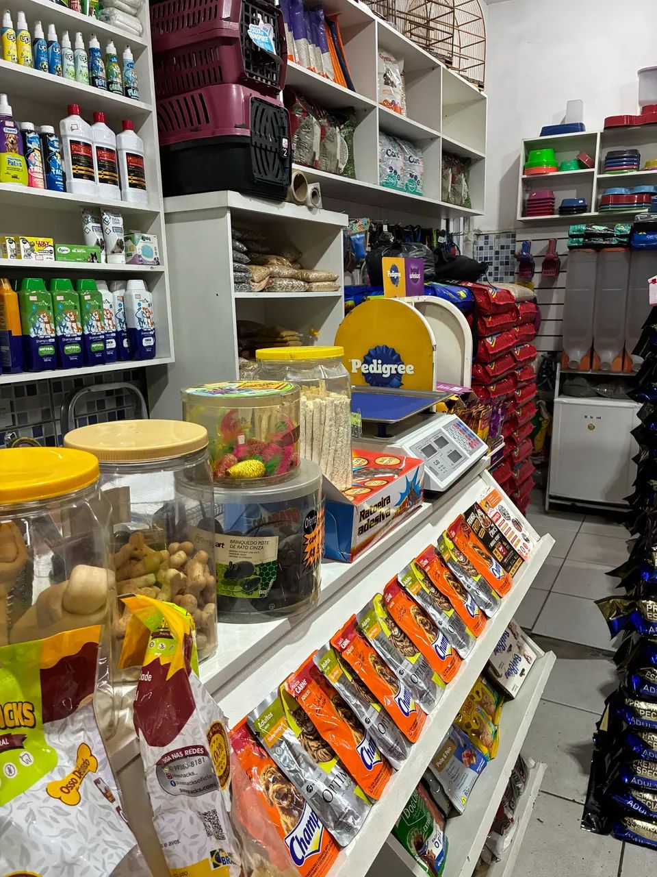 Passo ponto pet shop  - Foto 5