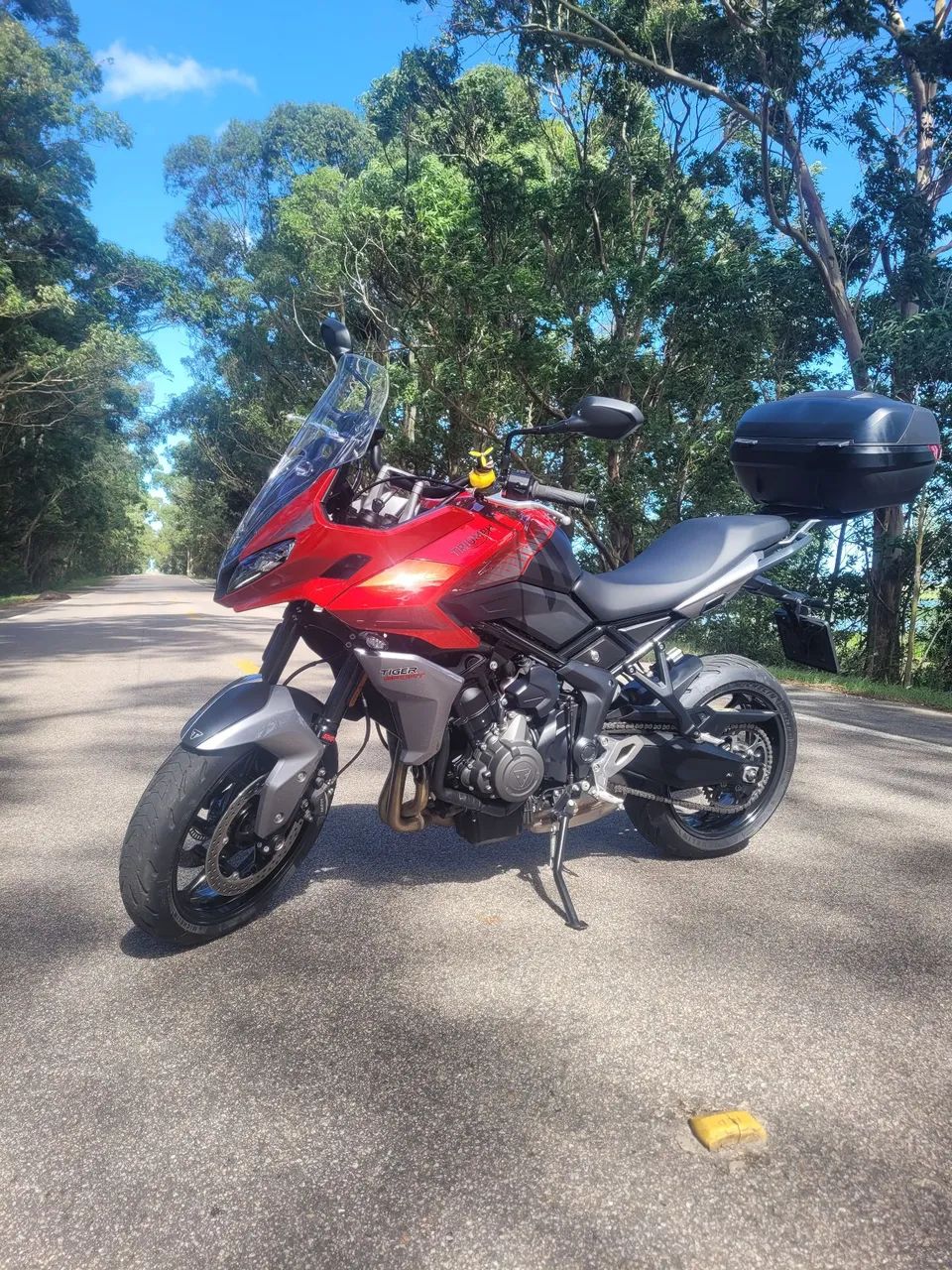 Triumph Tiger 660 2023 - Foto 3