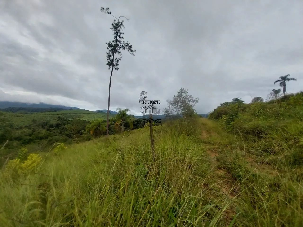 FAZENDA COMERCIAL em ELDORADO - SP, rural - Foto 3