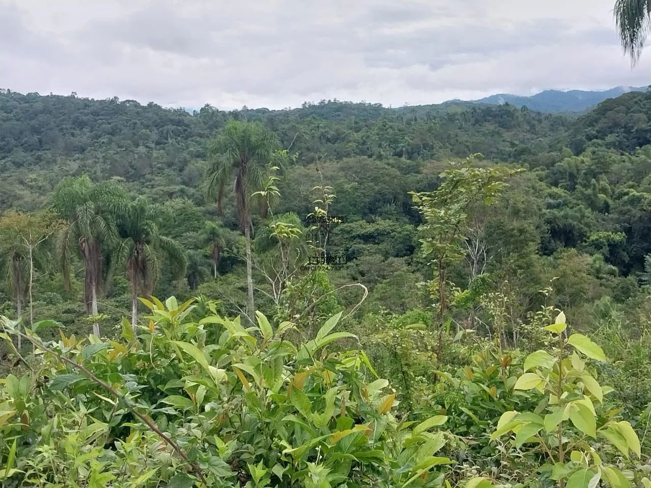 FAZENDA COMERCIAL em ELDORADO - SP, rural - Foto 5
