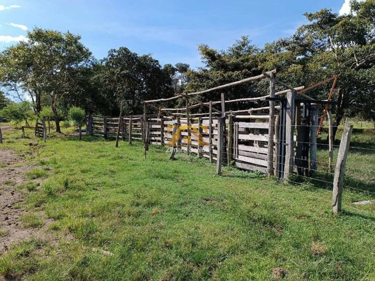 Fazenda com 1 Quarto à Venda, Setor Central - Cristalândia - Foto 4