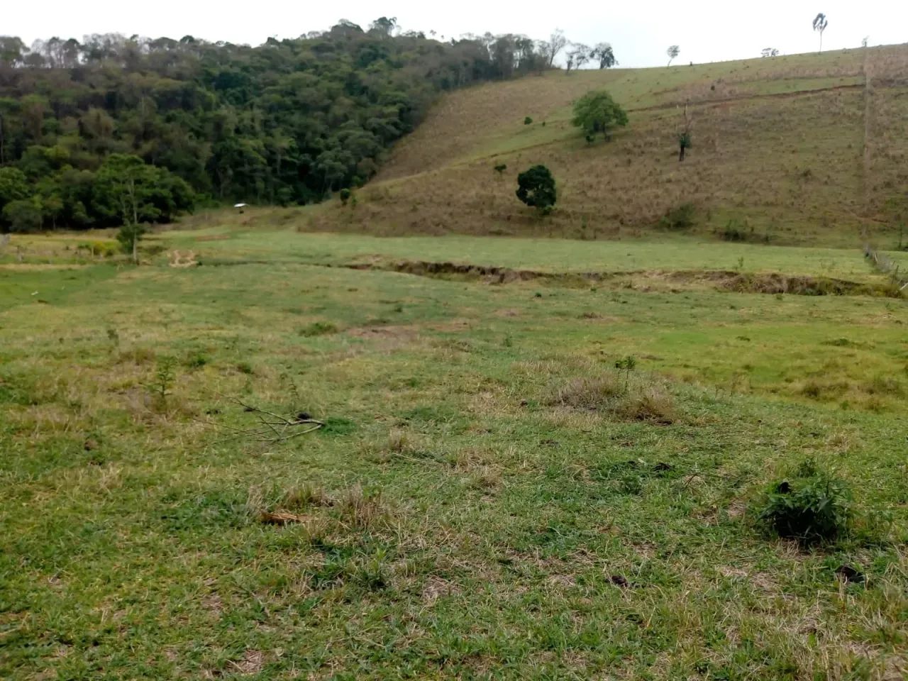 Terreno com 20 alqueires- Cambuí - MG - Foto 3