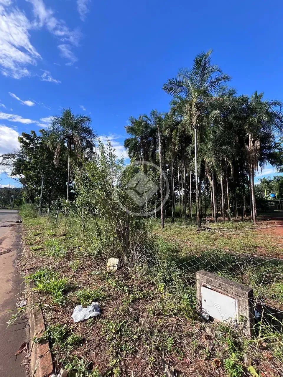 Área Imperdível em Goiânia!!! codigo: 324514 - Foto 3