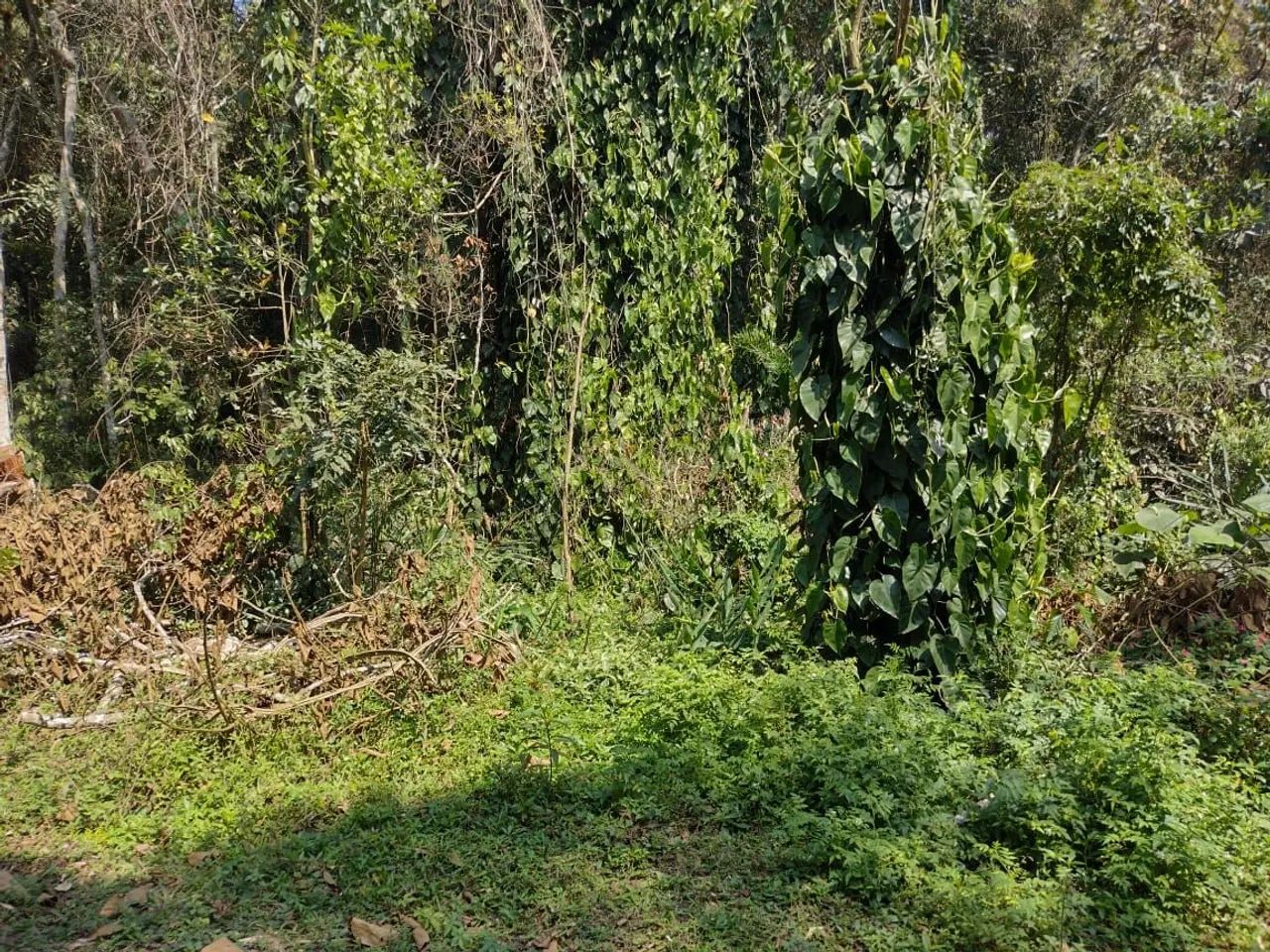 Vende-se terenos no condomínio 7 praias  - Foto 9