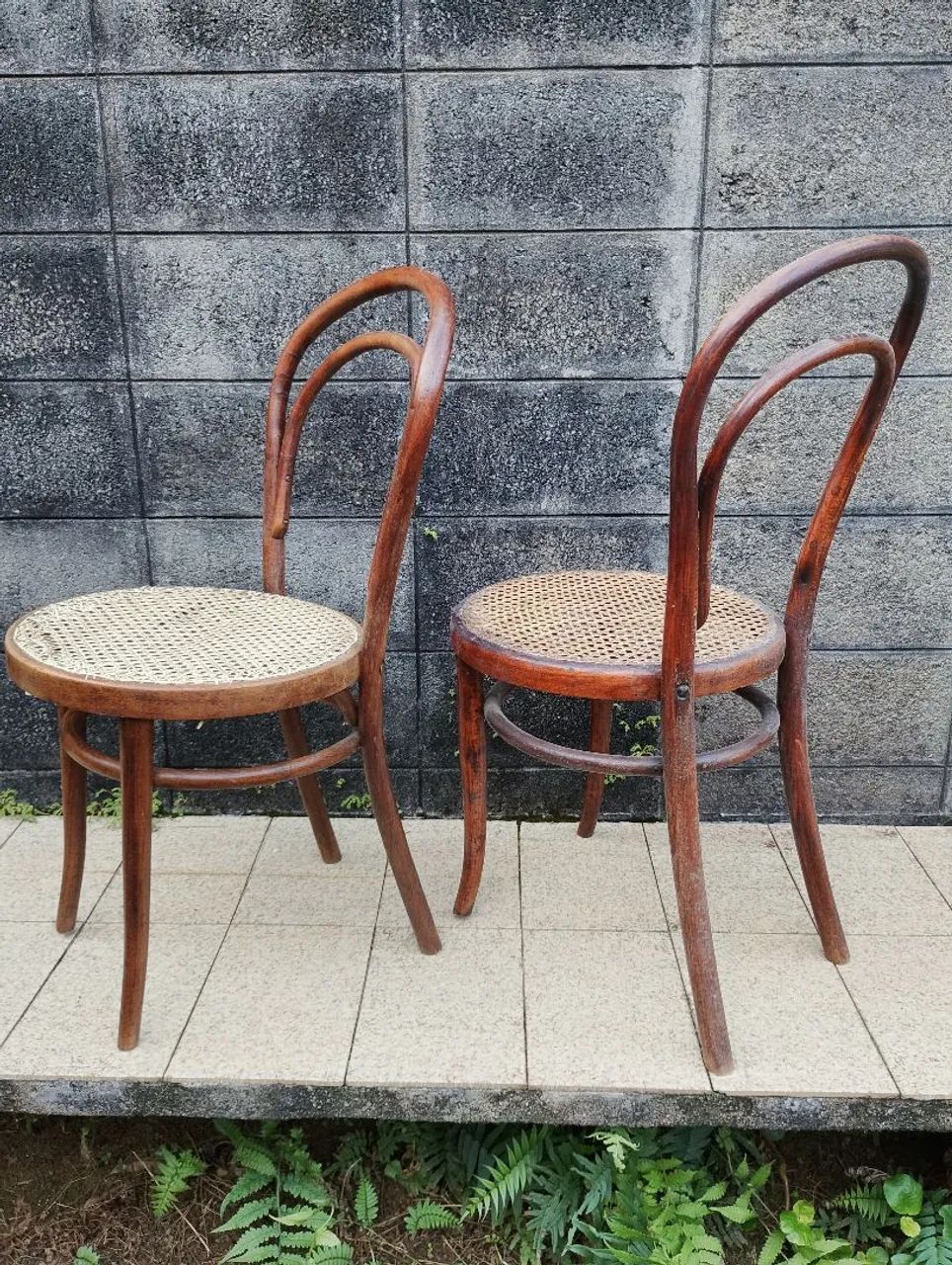 Cadeira Thonet  - Foto 4