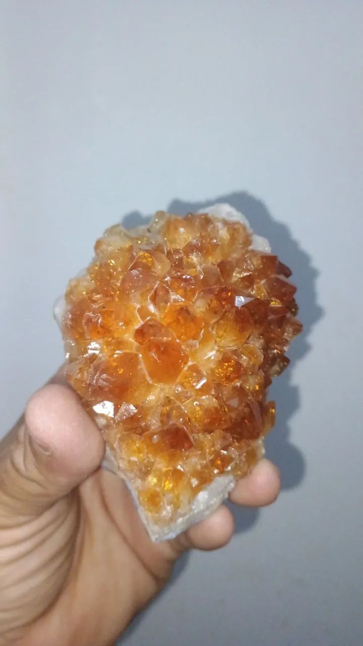 Flor de citrino queimado  - Foto 2