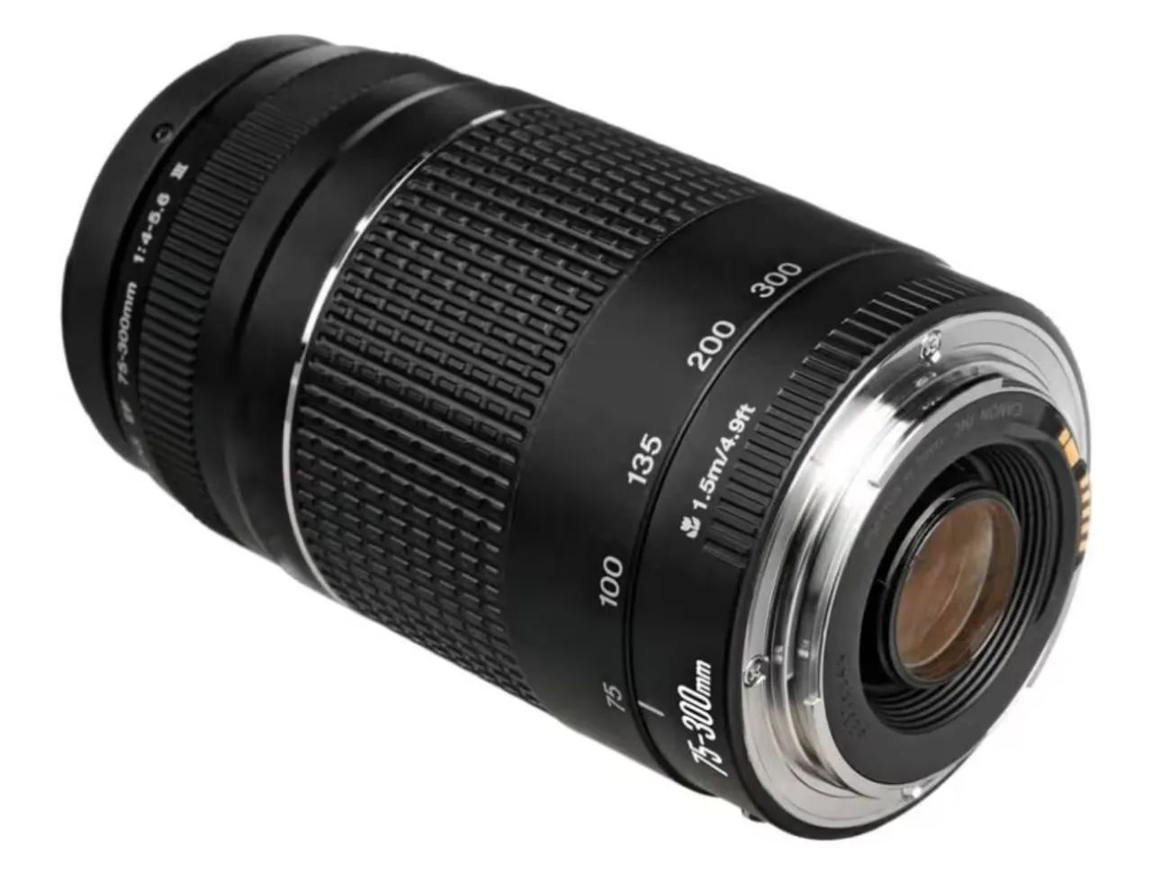 Lente 70-300 - Foto 4