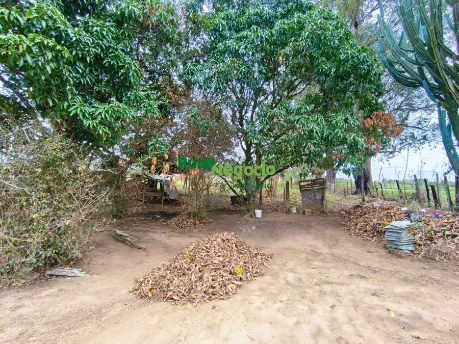 TERRENO PARA FORMAR CHÁCARA NO GOIABAL EM PINDAMONHANGABA-SP - Foto 3