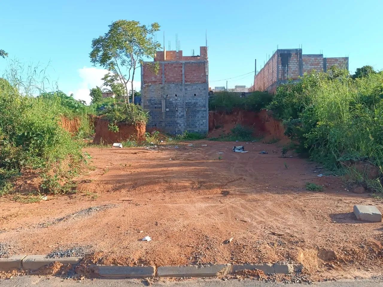 Lote - Foto 5