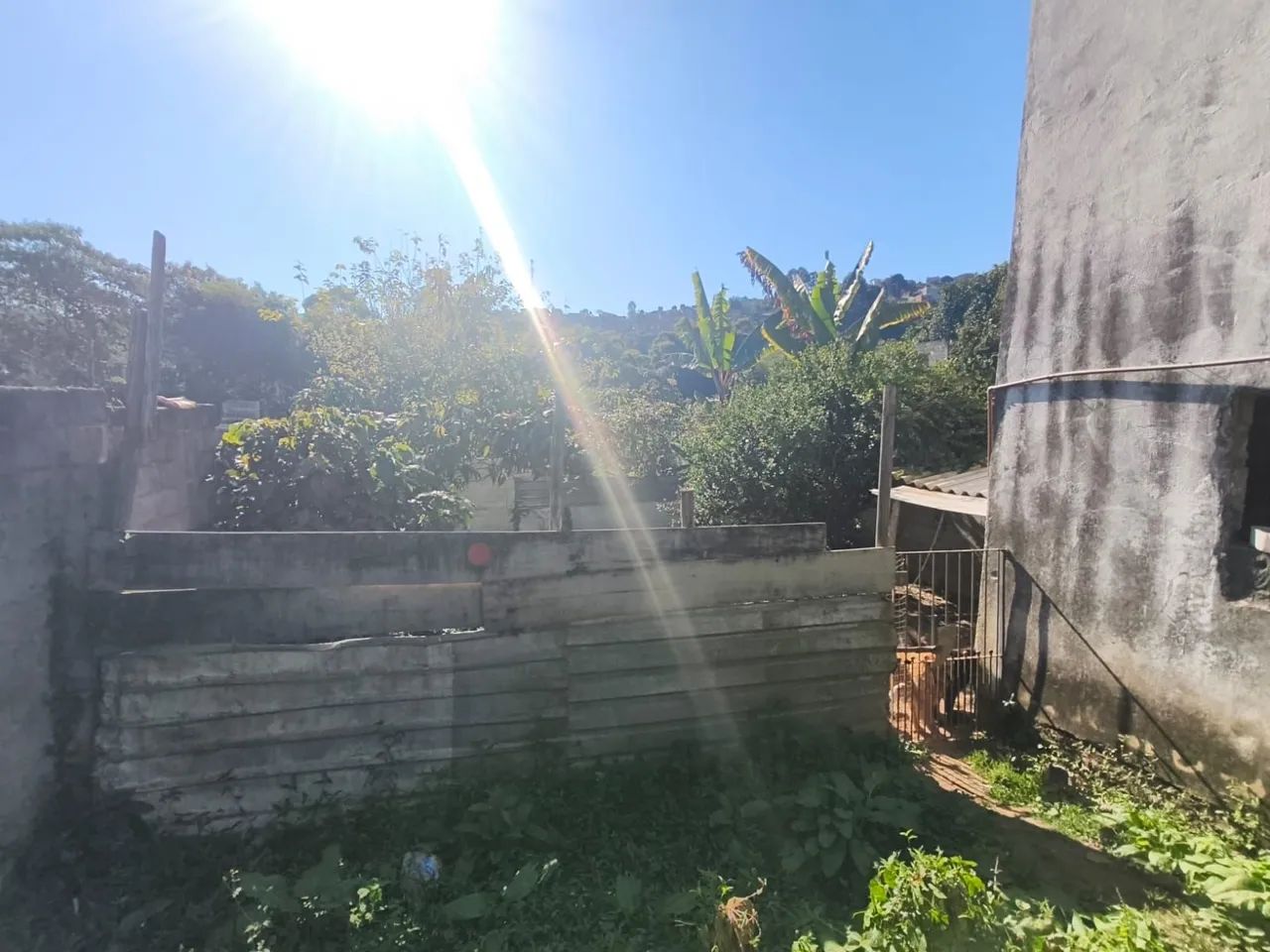 Terreno imenso com 2 casa - Foto 2