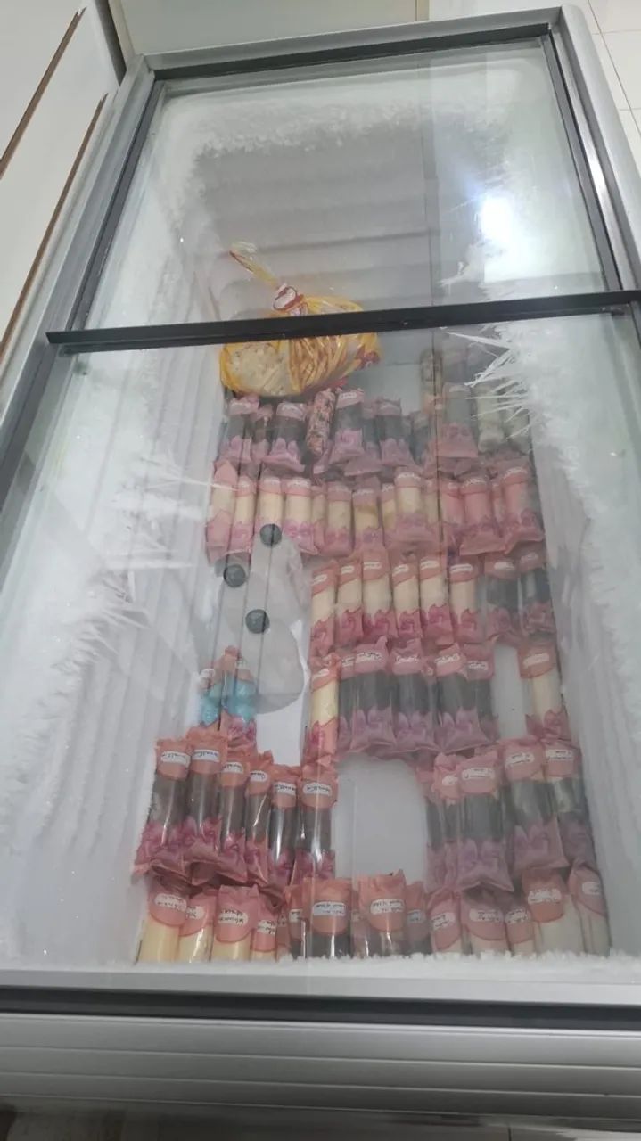 Freezer - Foto 4