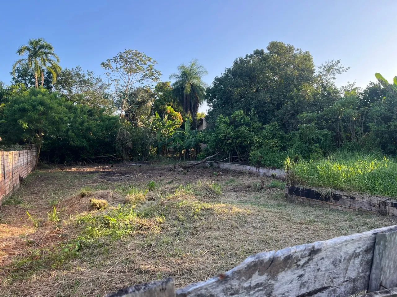 Terreno no Maracanã, próximo da Cavalaria  - Foto 4