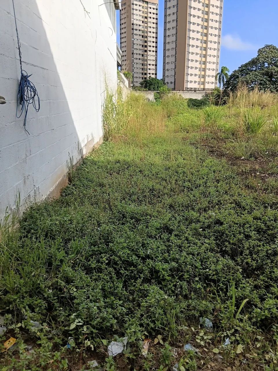Limpeza de terreno  - Foto 2