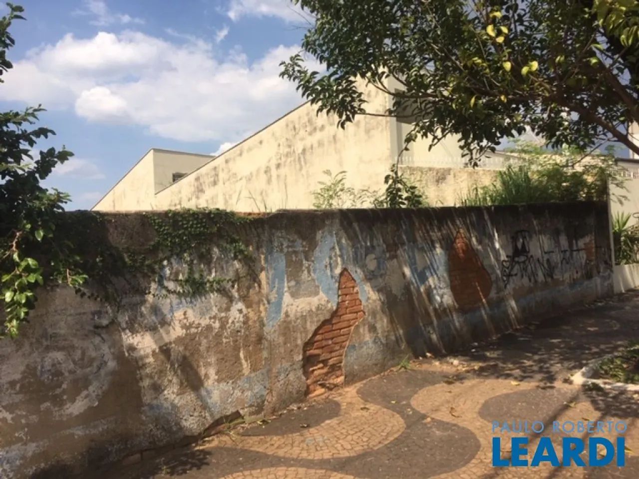 TERRENO - JARDIM RIBEIRO - SP - Foto 4