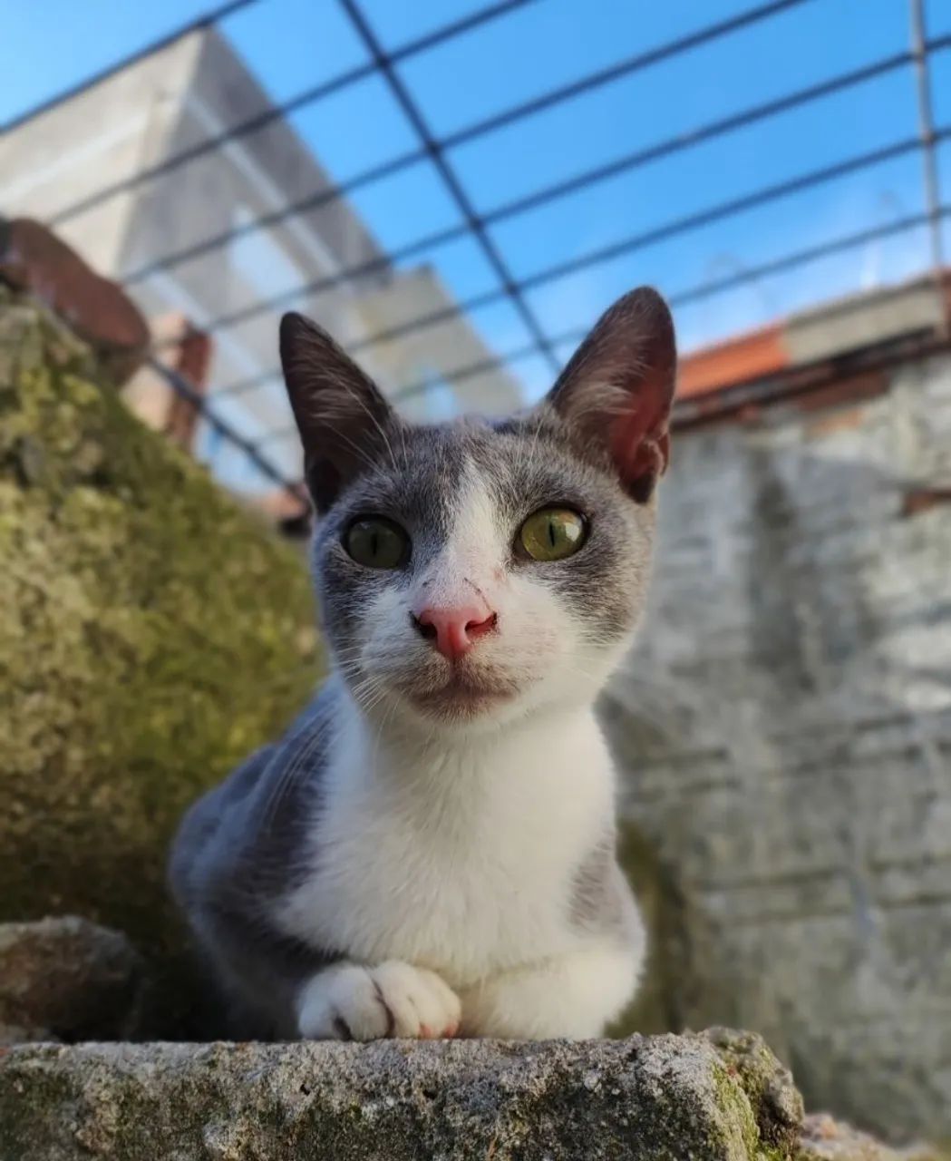 Doação  - Foto 2