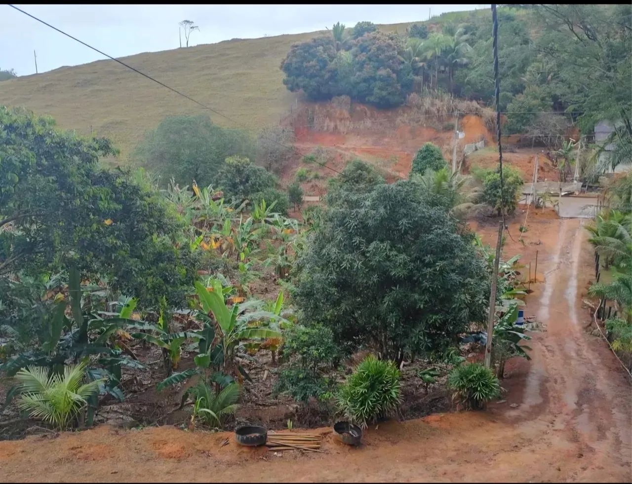 Vendo sítio - Foto 3