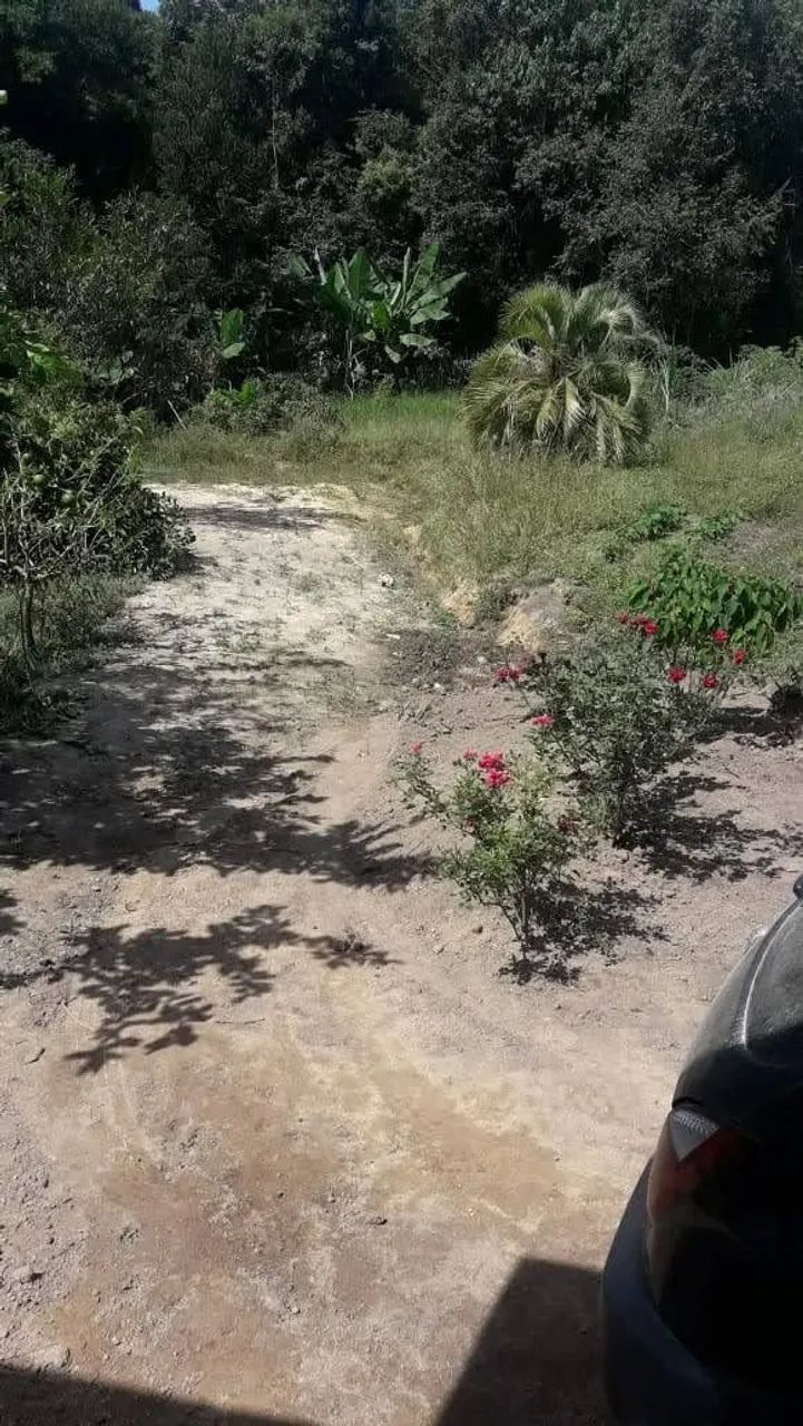 Chácara em doutor Ulisses pr - Foto 3
