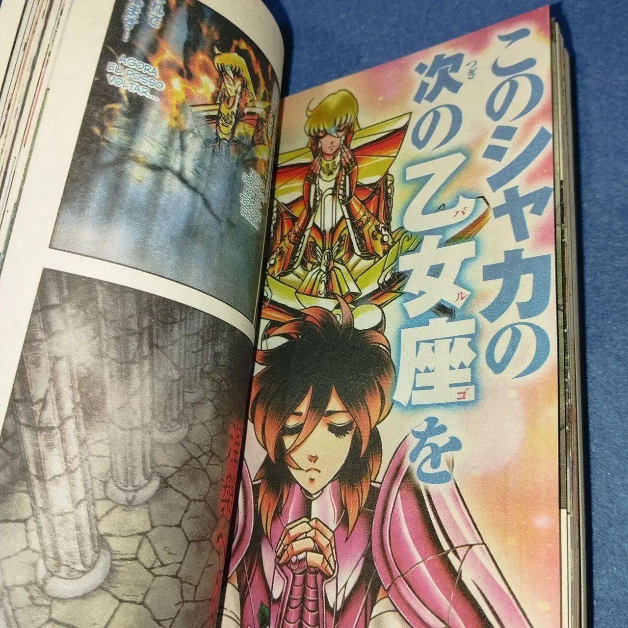 Cavaleiros do Zodíaco Next Dimension volume 8 - Mangá colorido da