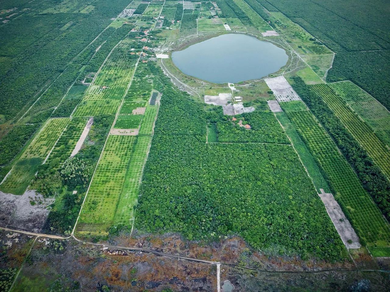 Terreno beberibe  - Foto 3